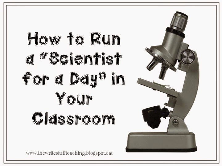 Scientist for a Day
