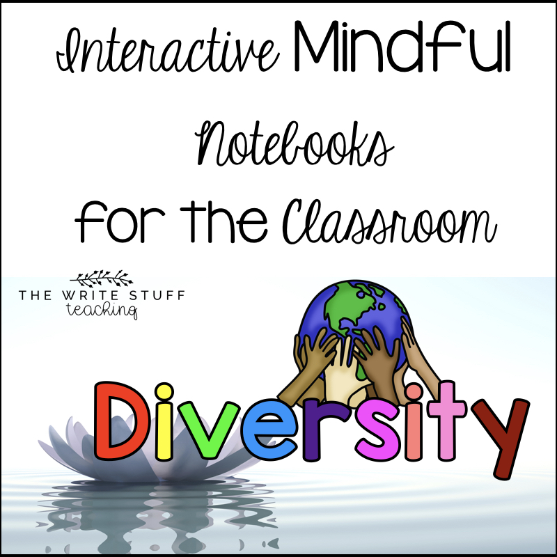Interactive MINDFUL Notebook for Diversity